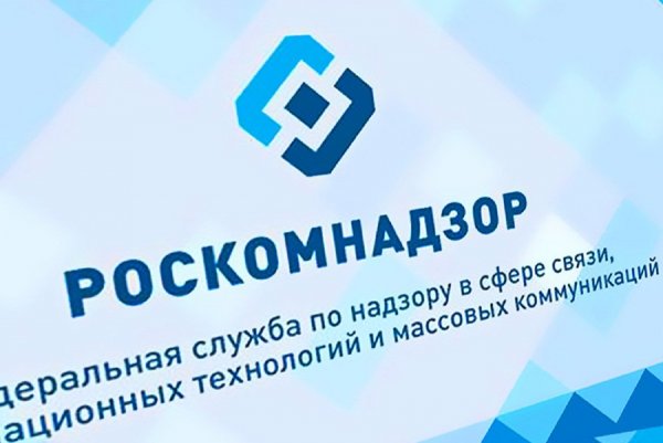 Жертвой блокировок Роскомнадзора стал сайт «Диссернет»