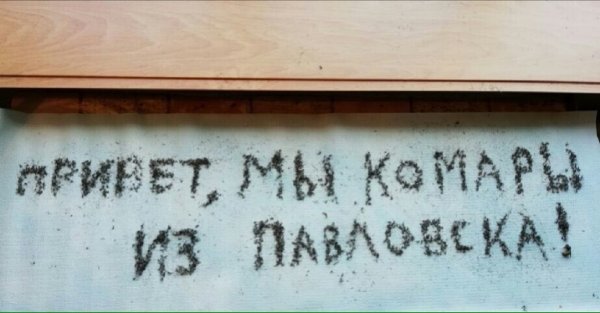 В Воронежской области составили надпись из убитых комаров