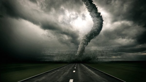 Ураганы и нашествие змей: Россия страдает от природных катаклизмов