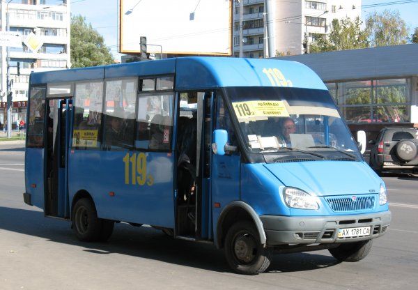 «Упаковывающая» пассажиров в маршрутку бабушка стала звездой интернета