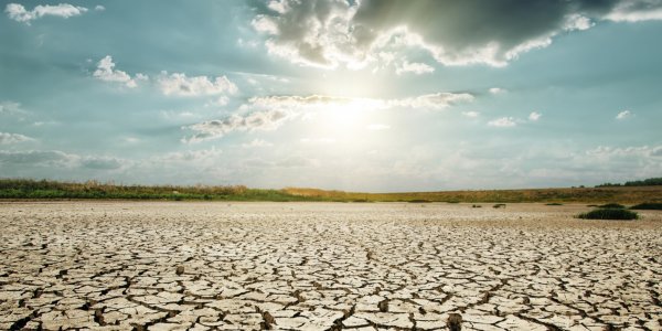 Учёные: Великобритания вскоре будет страдать от засухи