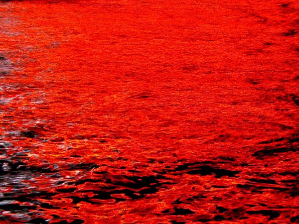 В Буэнос-Айресе местная река за ночь окрасилась в красный цвет