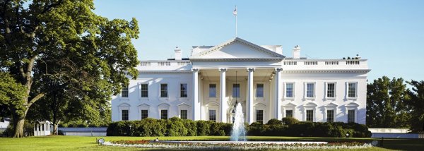 WSJ сообщает о подготовке встречи Трампа с Путиным в Белом доме