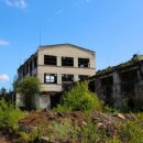 В Воронеже нашли необычный оазис со своей экосистемой на крыше заброшенного завода