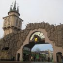 В Московском зоопарке произошло пополнение в семействах редких копытных