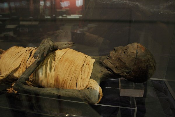 В Шлиссельбурге нашли мумию времен Петра Великого