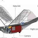 В Китае создали птиц-дронов для слежки за людьми
