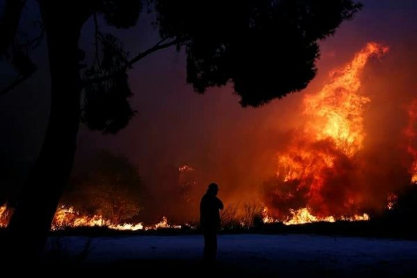 В результате сильнейшего в истории Греции пожара погибли 80 человек