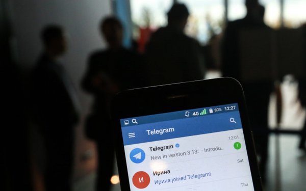 Интернет-омбудсмен сомневается, что блокировка Telegram поможет в борьбе с терроризмом