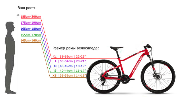 Как правильно подобрать велосипед по росту и весу