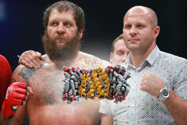 UFC и Гарвард ропчат: Причины победы братьев Емельяненко кроются в генетической мутации