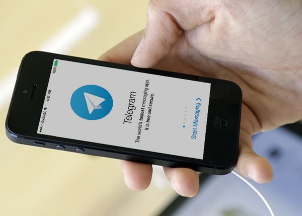 Хотите купить подписчиков в Telegram канал или группу? Воспользуйтесь сервисом AVI1.RU